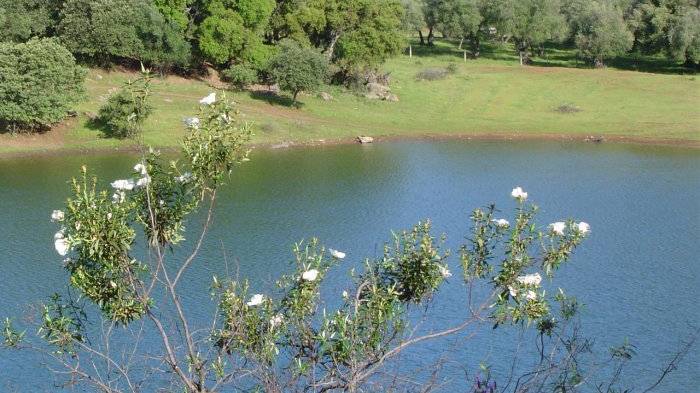 Fotografia 3