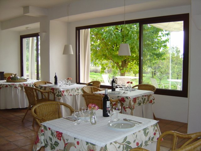 Fotografia 3